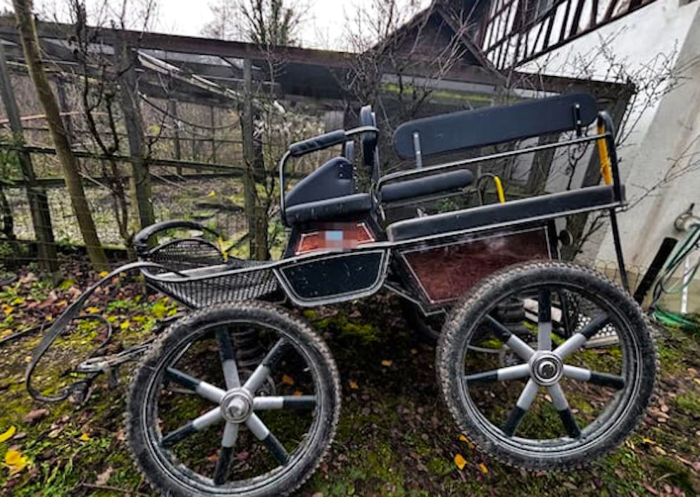 Die Kutsche wurde bei dem Unfall beschädigt. 