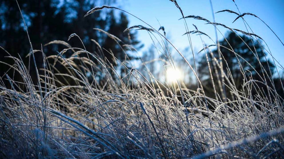 Wetterdienste erwarten im Flachland in den kommenden Tagen Maximaltemperaturen von null Grad. (Archivbild)