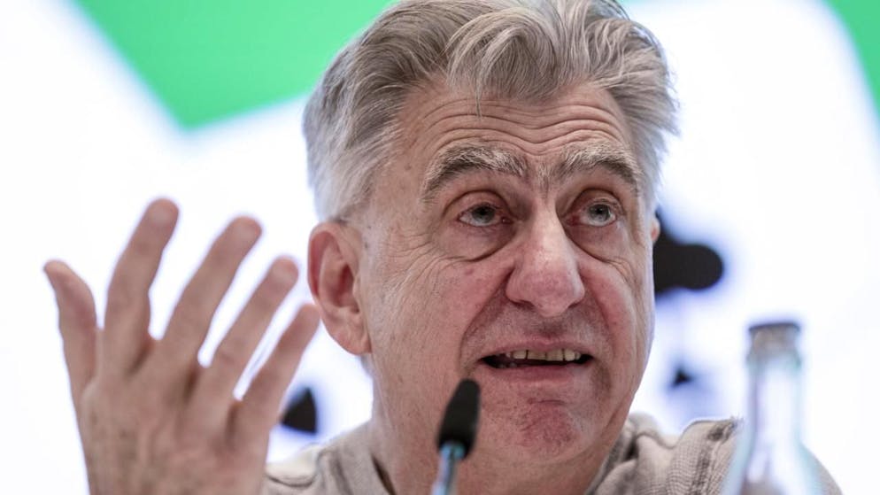 Nick Hayek, Ceo di Swatch