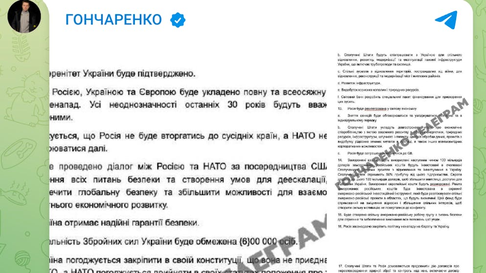 Der ukrainische Parlamentsabgeordnete Olexij Hontscharenko, der zur Oppositionsfraktion Europäische Solidarität gehört, stellte den Plan via Telegram ins Netz.