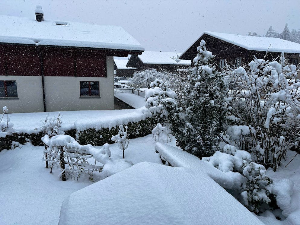 Die schönsten Schneebilder der blue News Leserreporter. Hofstetten bei Brienz BE ist hübsch eingedeckt. Und es schneit weiter.