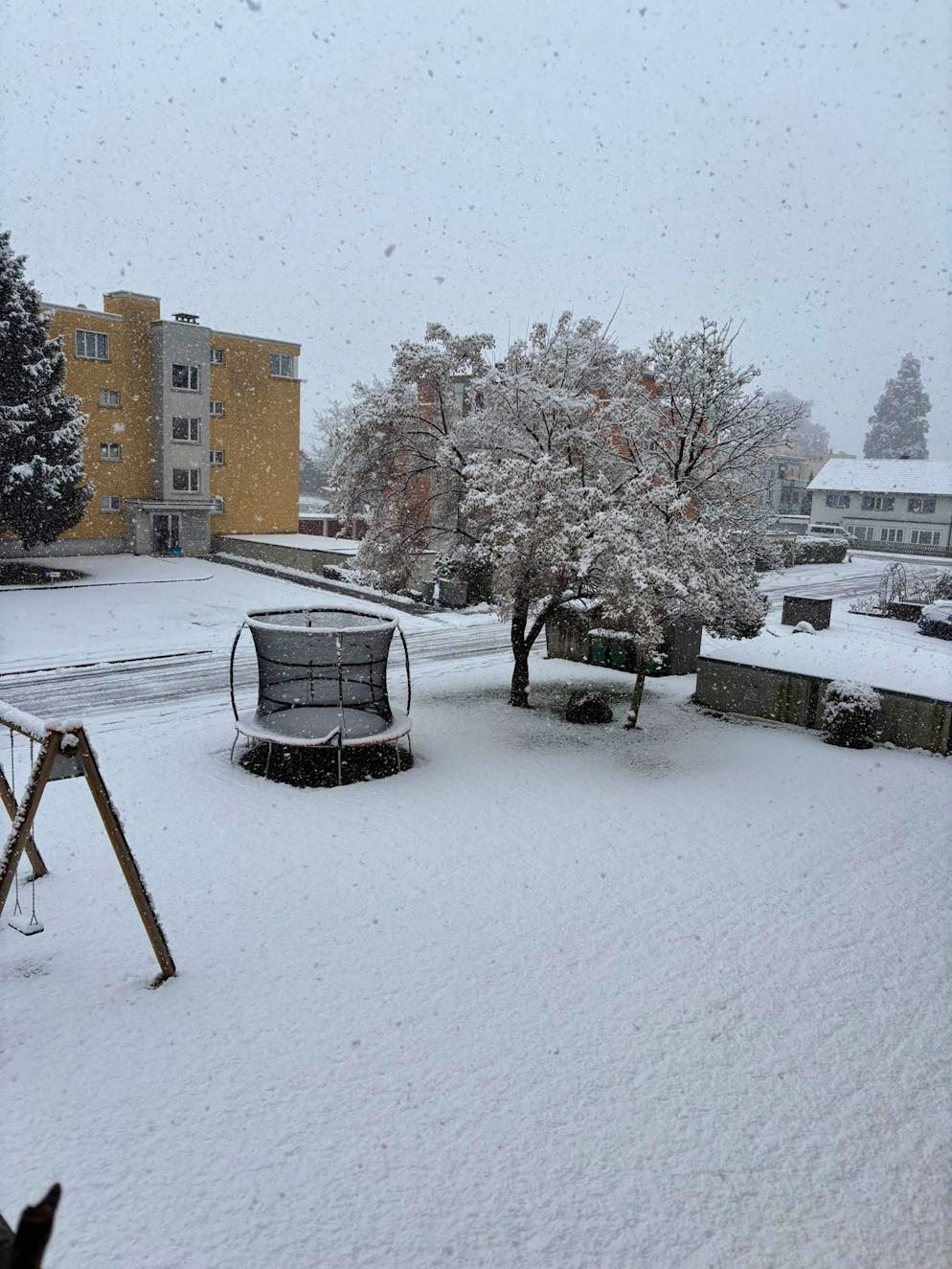 Die schönsten Schneebilder der blue News Leserreporter. In Walenstadt hat das Trampolin Winterpause.