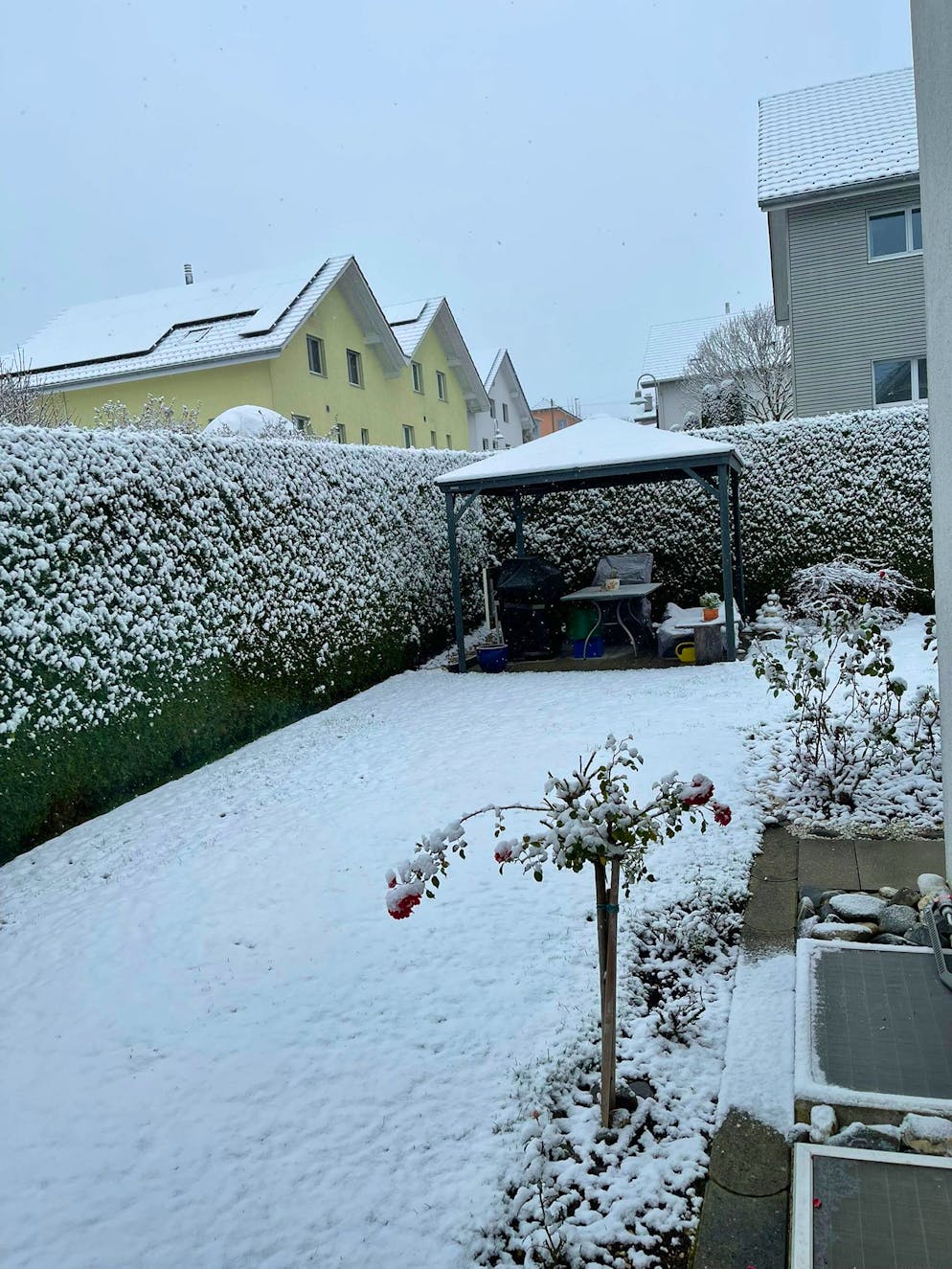 Die schönsten Schneebilder der blue News Leserreporter. In Wallenwil TG muss es schräg geschneit haben, denn es ist auch unter der Gartenlaube weiss.