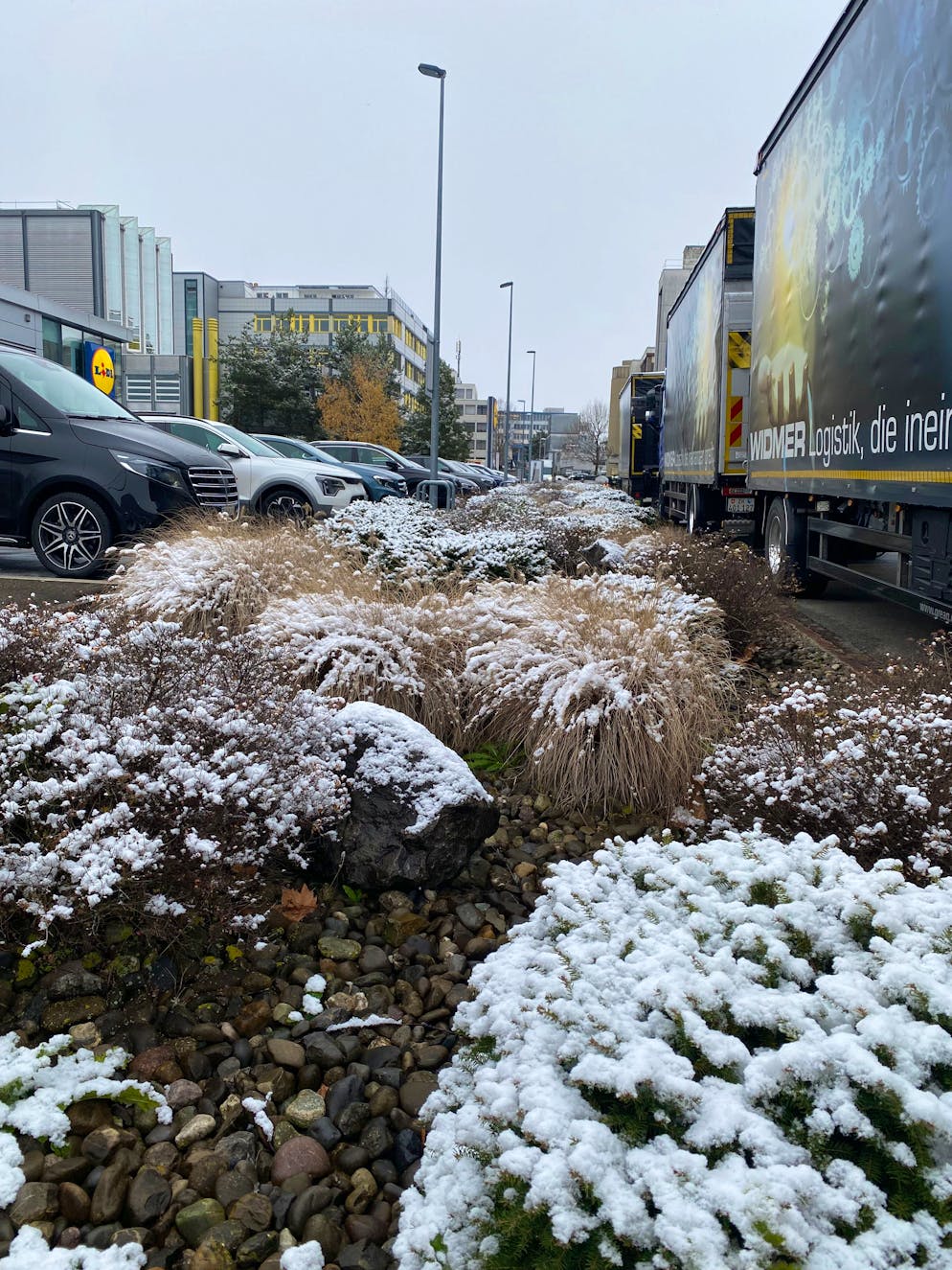 Die schönsten Schneebilder der blue News Leserreporter. Der Schnee versucht etwas Stimmung auf den Lidl-Parkplatz zu zaubern. 