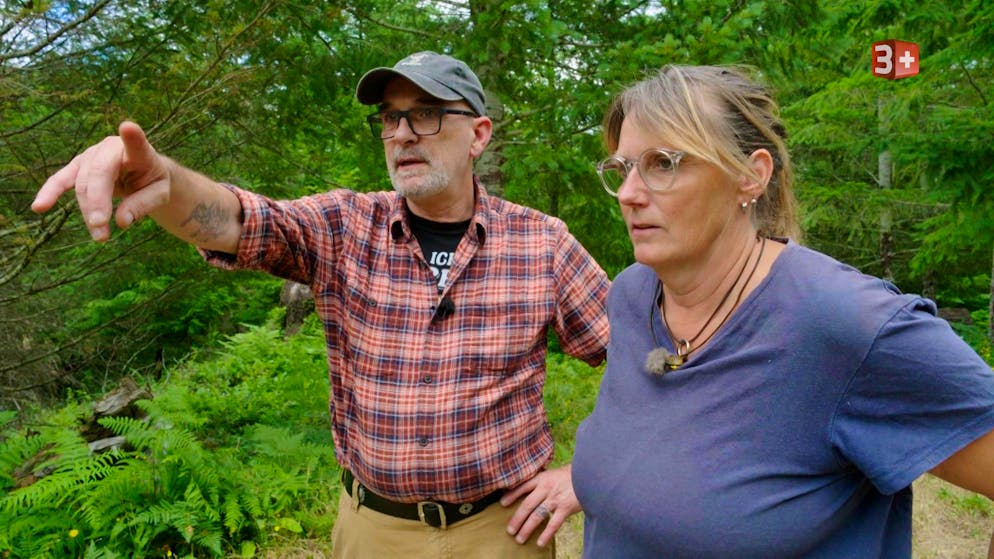 «Bauer, ledig, sucht»: Vom Liebeshoch bis zum Desaster. In Kanada vereint: Lucas ist zu Bäuerin Conny nach Kanada gezogen. Es geht für die beiden gleich los: Ein Hausausbau steht bevor. Hält die Beziehung dem Baustress stand?