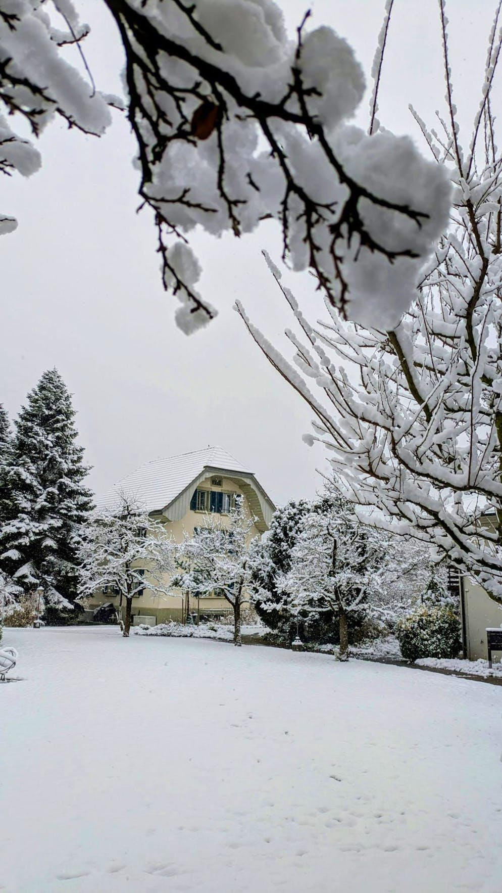 Die schönsten Schneebilder der blue News Leserreporter. Steffisburg BE
