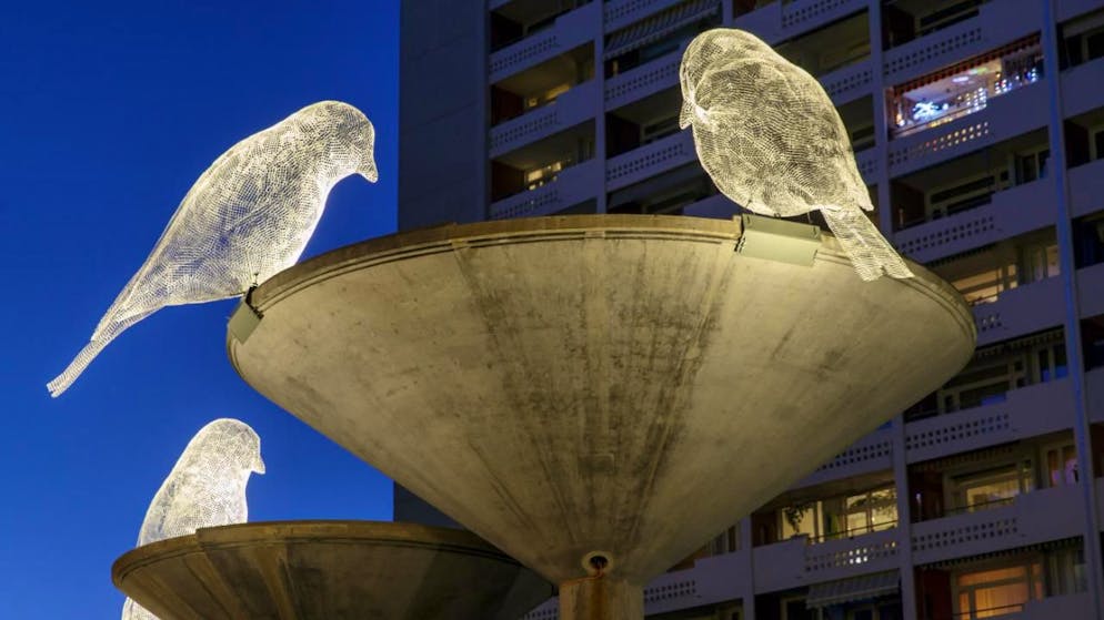 Les Oiseaux de Cédric Le Borgne se désaltèrent dans les fontaines des Tours de carouge (archives).