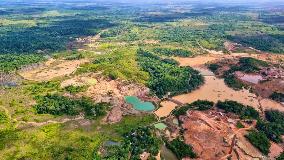 Climate summit without decision on exit plan for coal, oil and gas - Gallery. The summit was unable to agree on clear resolutions in the fight against deforestation. (archive picture)