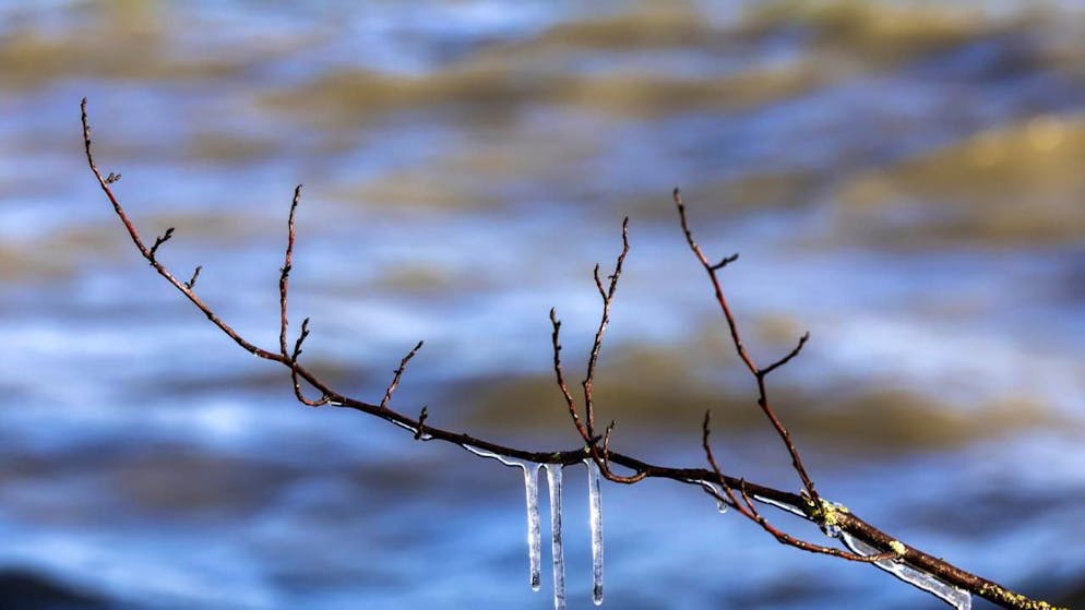 Vague de froid. -26 °C à La Brévine : la Suisse a traversé une nuit glaciale