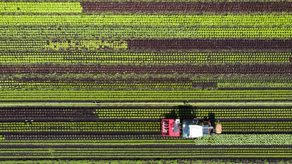 Législation. Travail, pesticides, statut S : ce qui va changer en Suisse dès décembre