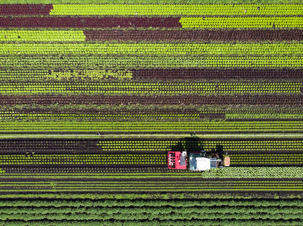 Dès le 1er décembre, les produits phytosanitaires déjà homologués dans un pays voisin seront soumis à une procédure simplifiée en Suisse (photo d’illustration). 