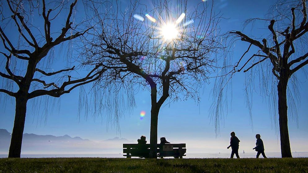 According to MeteoSwiss, speculation about a "winter of the century" is premature. (symbolic image)