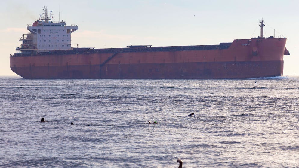 Cargo de la honte. «Nous assistons à l'une des plus graves violations du bien-être animal»