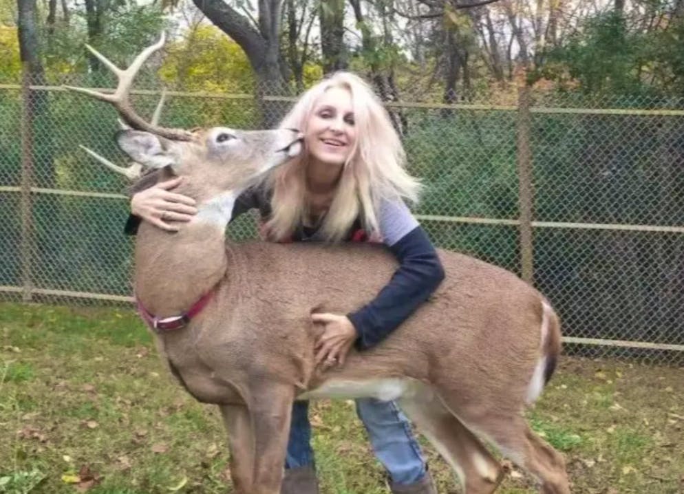 Jodi P. wurde von ihrem Hirsch getötet.
