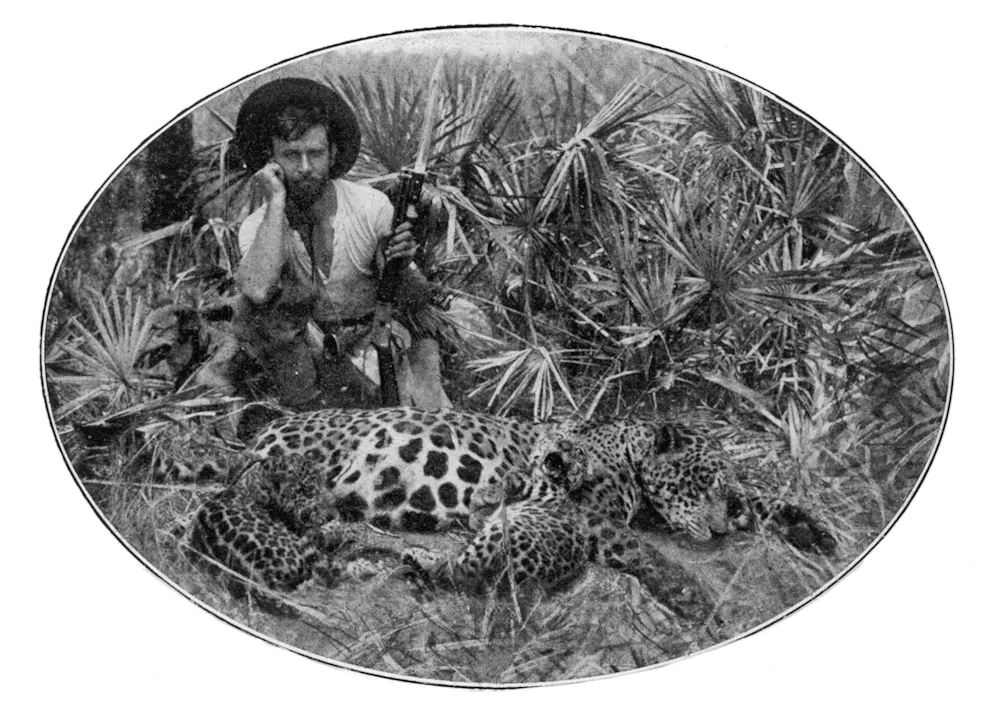 Nel 1924, Percy Fawcett parte con il figlio Jack e l'amico del figlio, Raleigh Rimmel, alla volta del Mato Grosso brasiliano, nella regione sud-occidentale dell'Amazzonia, per trovare la «City of Z»: i tre uomini sono scomparsi.