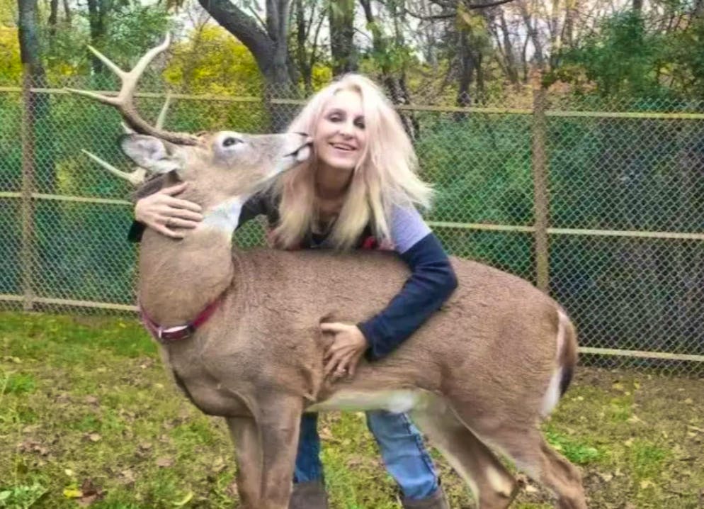 Jodi P. è stata uccisa dal suo cervo.