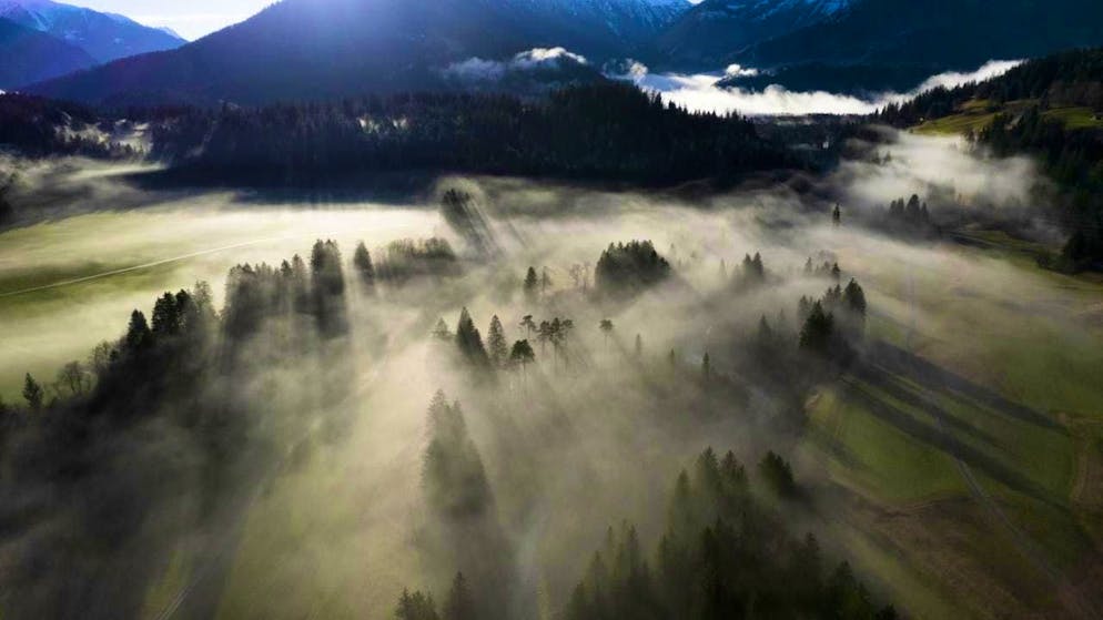 The Romans heavily cleared the forests in the Alps. (archive picture)