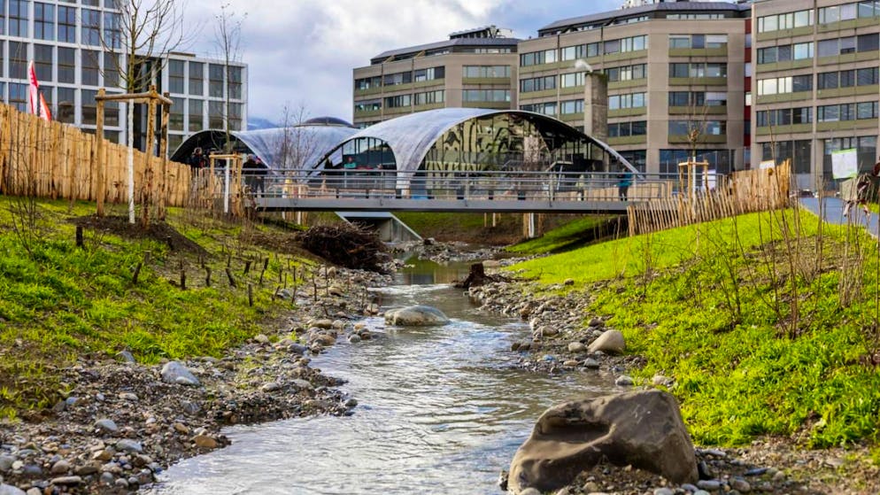 La première étape de la renaturation et remise à ciel ouvert de la Drize sur 450 mètres a été inaugurée par les autorités mardi à Genève. A terme, la rivière sera renaturée sur deux kilomètres et demi pour relier les différents quartiers du secteur Praille-Vernets-Acacias (illustration).