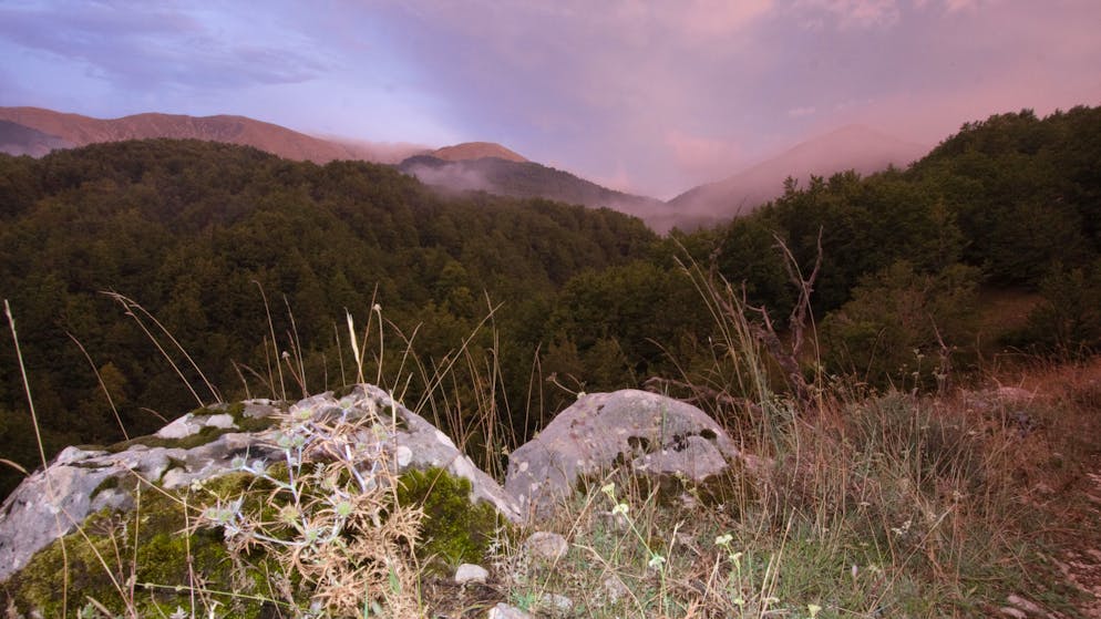 La famille anglo-australienne vit en autonomie depuis 2021 près de Chieti, dans les collines des Abruzzes à 200 kilomètres à l'est de Rome.