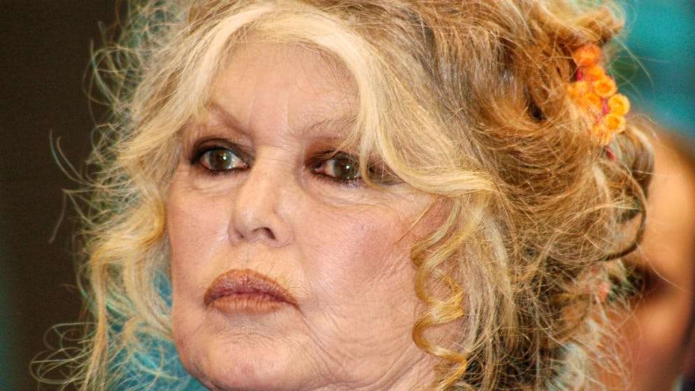 Les paroles d'Allain Bougrain-Dubourg dans C à vous ont eu de quoi rassurer les fans de Brigitte Bardot.