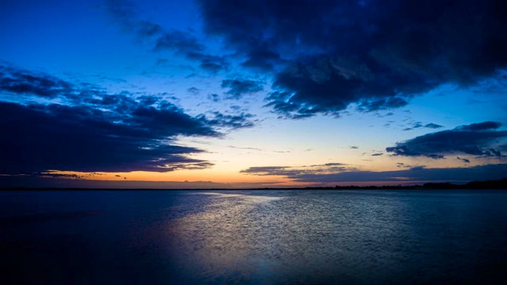 Tief unter der Meeresoberfläche leben zahlreiche Tiere. Mit einer neuen Methode können Forschende nachverfolgen, wie sie sich bewegen. (Archibvild)