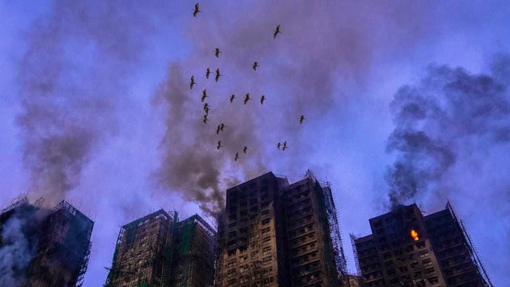 Birds fly over the smoking buildings at the site of the fire at Wang Fuk Court, a housing estate in the Tai Po district. Photo: Chan Long Hei/AP/dpa