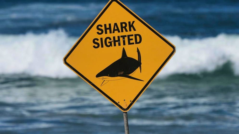 Drame en Australie. Un couple suisse attaqué par un requin – La jeune femme meurt