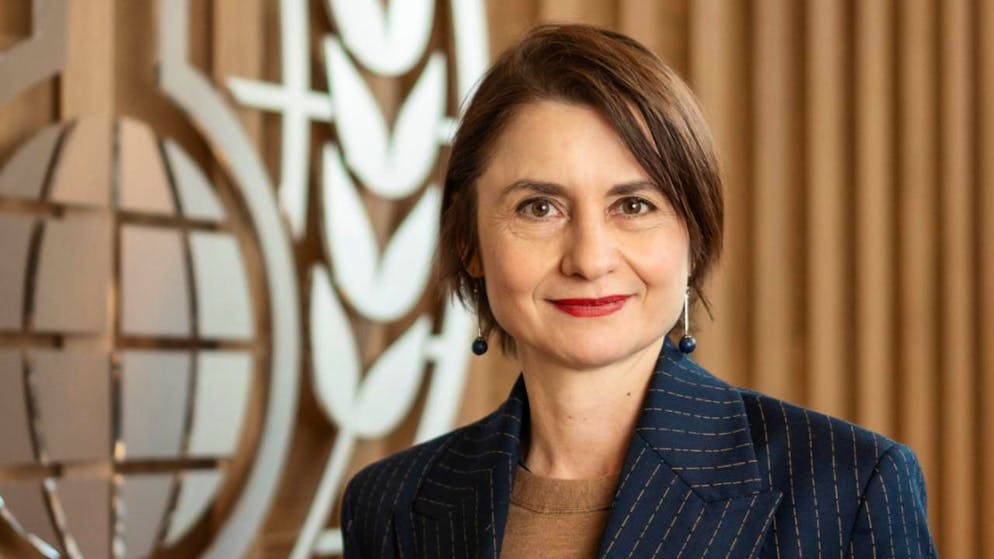 Die Botschafterin Sabrina Dallafior ist als erste Frau und als erste Schweizerin zur Generaldirektorin der Organisation für das Verbot chemischer Waffen ernannt worden.