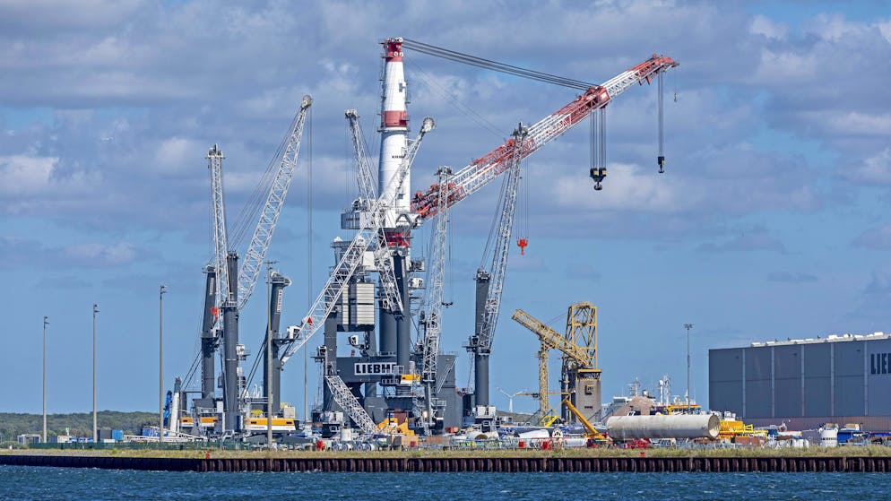 Der Überseehafen in Rostock. (Archivbild)