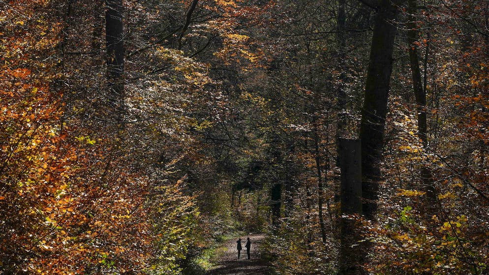 La vicenda continua. La famiglia nel bosco respinge le accuse di aver rifiutato aiuti: «Ogni scelta è per i nostri bambini»