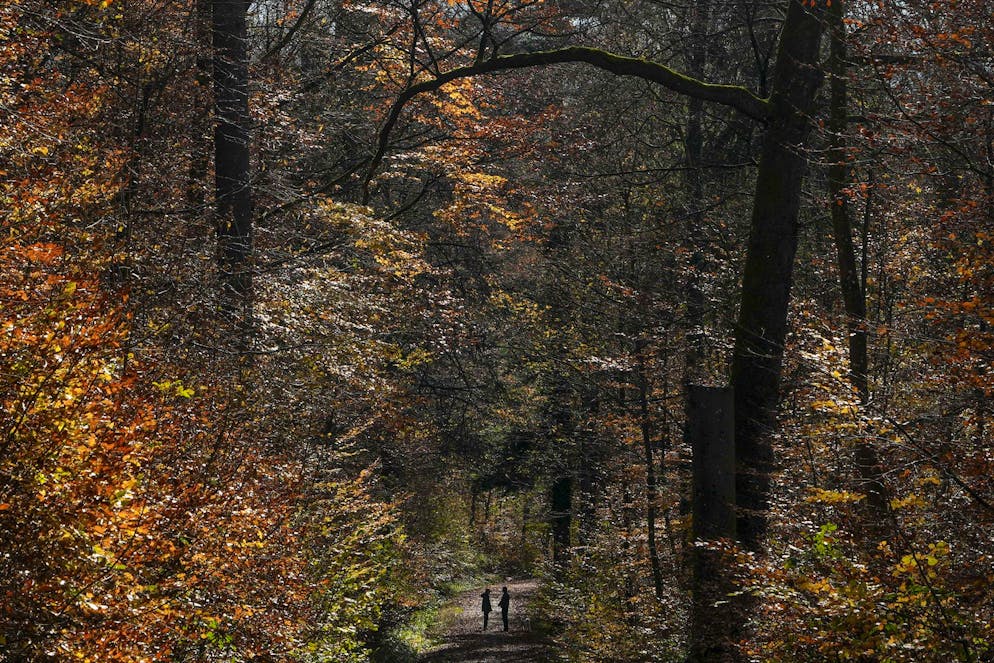 Nathan Trevallion e Catherine Birmingham hanno perso di recente la custodia dei loro tre figli (immagine d'archivio d'illustrazione). 