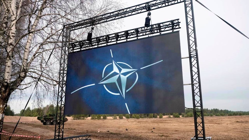 Anche il presidente lituano Gitanas Nauseda ha espresso le sue condoglianze. (Foto simbolica)