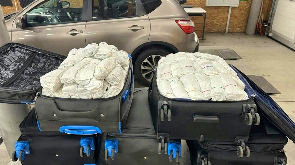 In den Koffern befanden sich mehr als 125 Kilogramm Khat-Produkte.