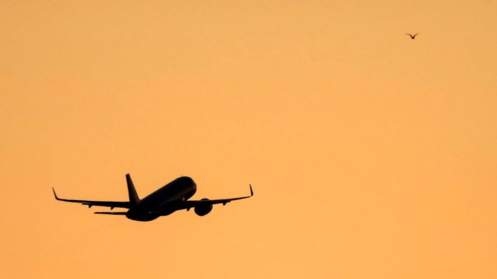 Les départs enregistrés concernaient en écrasante majorité des hommes (93%), la plupart âgés de 25 à 34 ans.