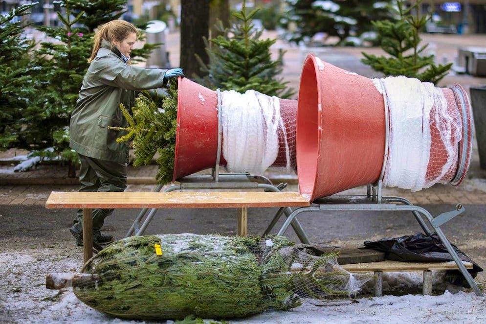 L'avvolgimento dell'albero di Natale sulla piazza del mercato di Oerlikon (immagine d'archivio).