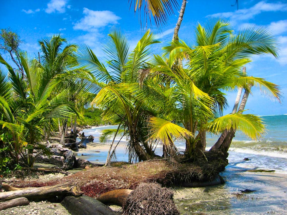 Costa Rica is still one of the most popular emigration destinations. But now the government is sounding the alarm.