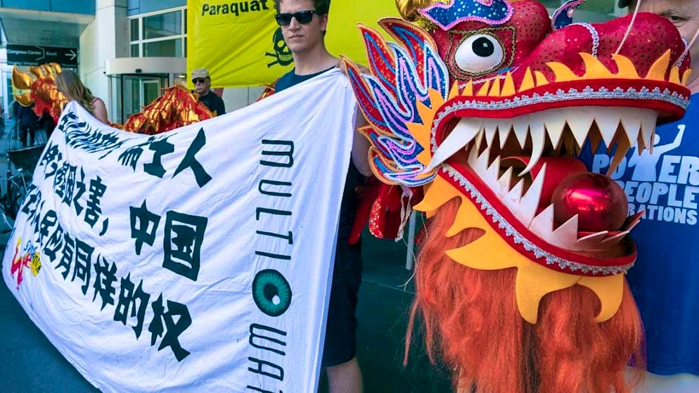 Activists draw attention to what they see as existing problems before Syngenta's last general meeting of shareholders before the takeover by Chem China in 2017. (archive image)