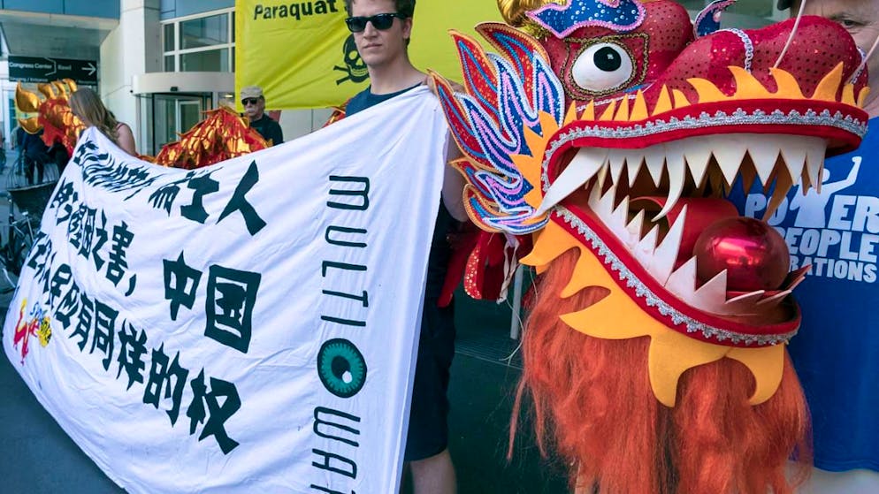 Aktivisten machen 2017 vor der letzten Aktionärsgeneralversammlung von Syngenta vor der Übernahme durch Chem China auf aus ihrer Sicht bestehende Probleme aufmerksam. (Archivbild)