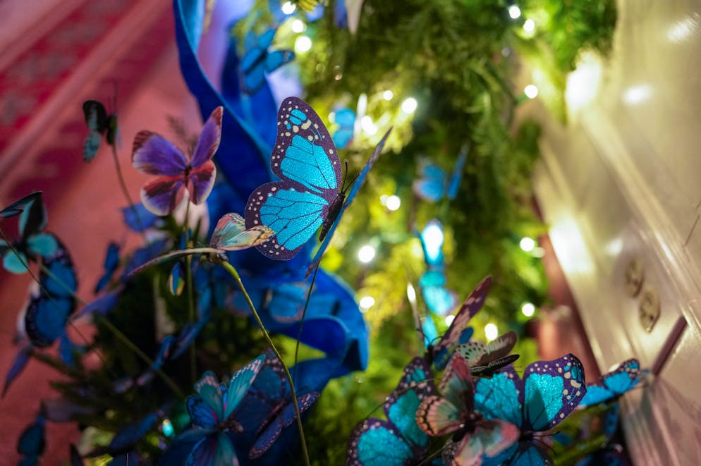 Noël Maison Blanche. Les papillons bleus sont partout.