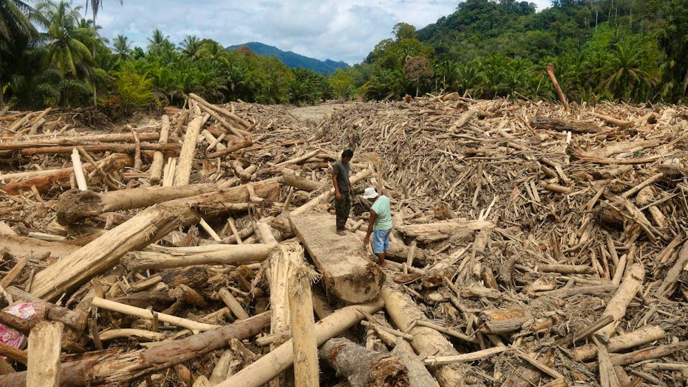 Men on tree trunks washed away by the floods in northern Sumatra. (December 2, 2025)