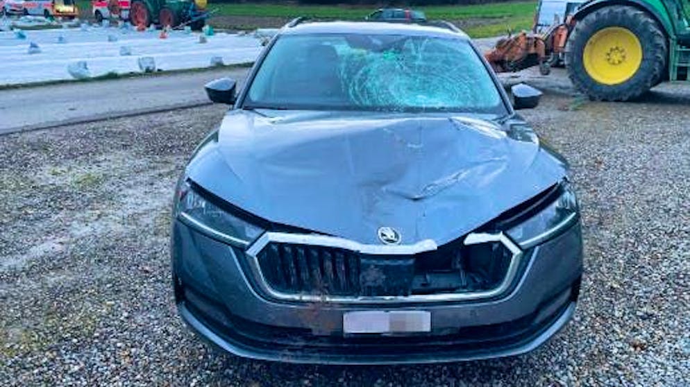 Peter K. was found to have a blood alcohol level of 0.85 per mille.