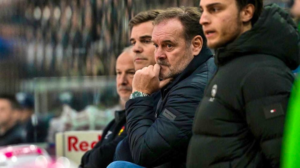 Heinz Ehlers slowly gets SC Bern back on track