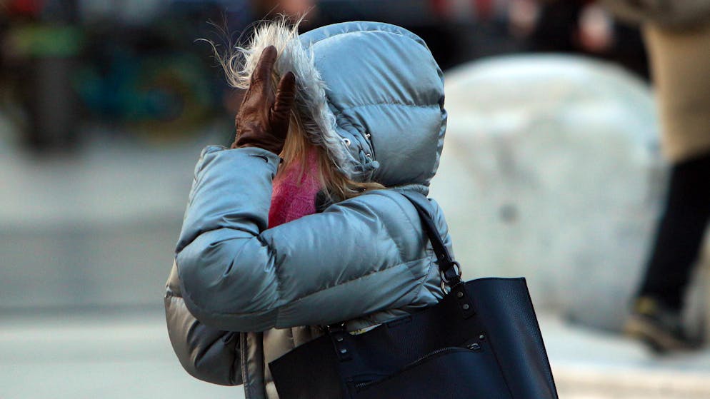 Echte und unechte Daunen gehören in die Top-5 der Warmgeber.