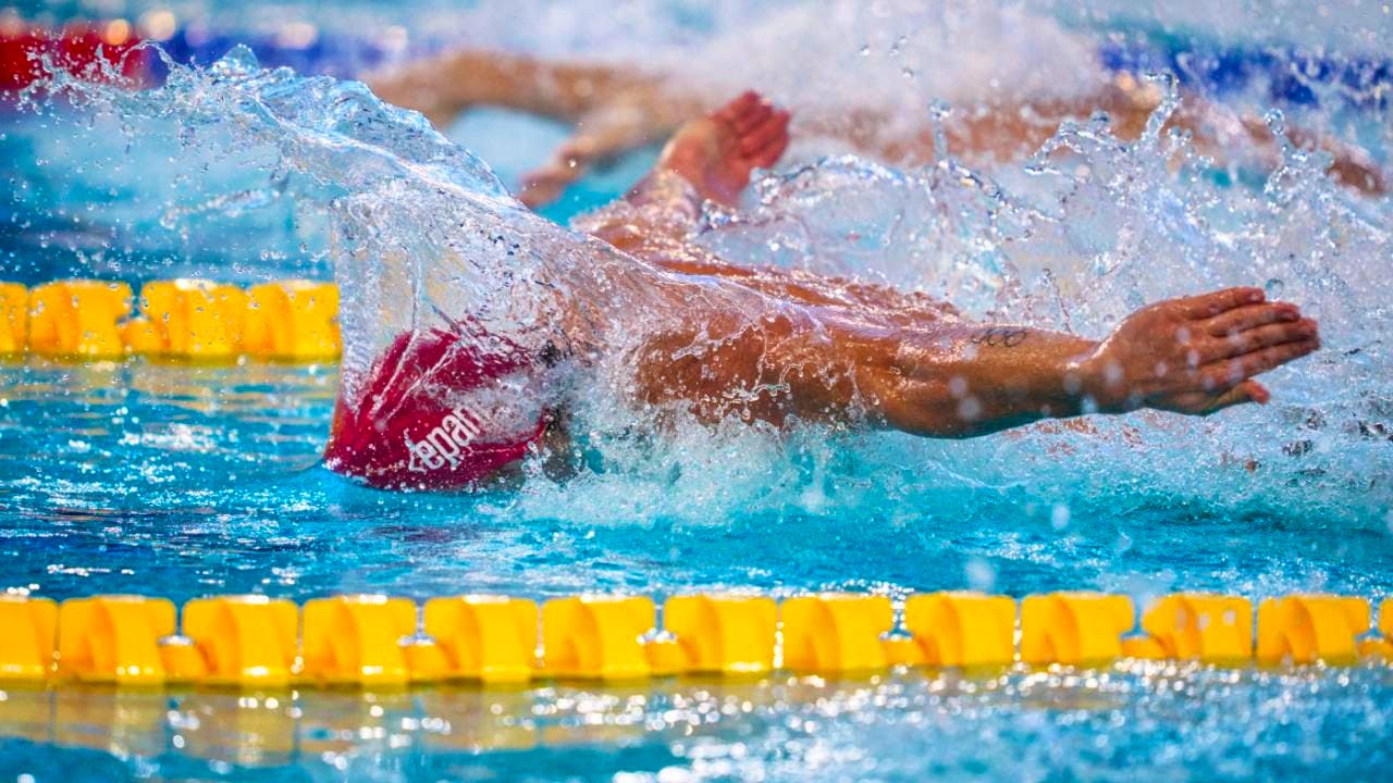 Swimming. Ponti in economy mode in the semi-finals