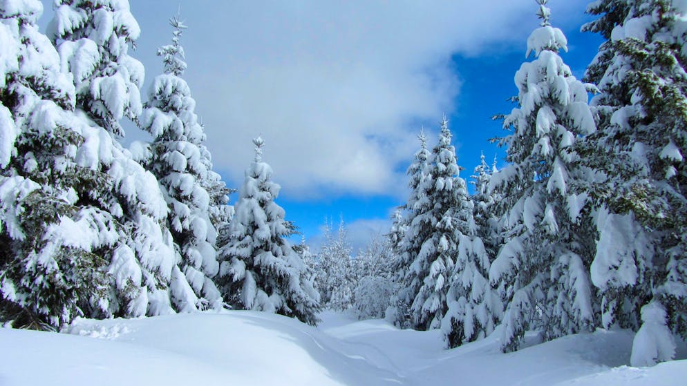 Météo. La Niña pourrait bien venir rafraîchir les prochains mois