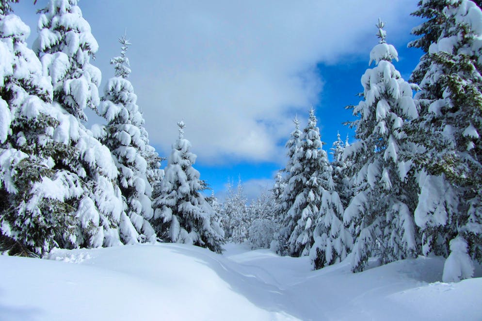 Un courant froid est probable ces prochains mois. (image d'illustration)