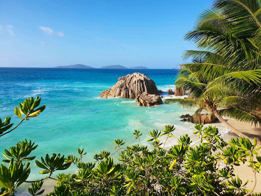 Sieht aus wie ein Desktop-Hintergrund von Windows, könnte schon bald dein Ausblick sein