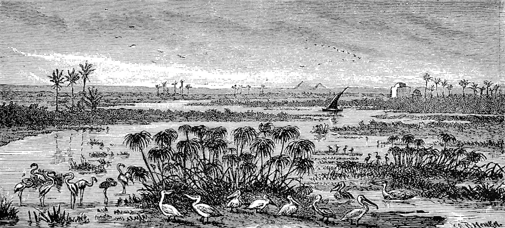 Historischer Stich aus dem Jahr 1885. Während der jährlichen Nilflut stand das Delta oft grossflächig unter Wasser – nur einzelne Sandrücken, im Fachjargon «Turtlebacks» genannt, blieben trocken. Auf denen errichteten die alten Ägypter ihre Siedlungen.