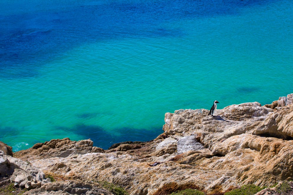 Kein Schnee in Sicht auf der Garden-Route