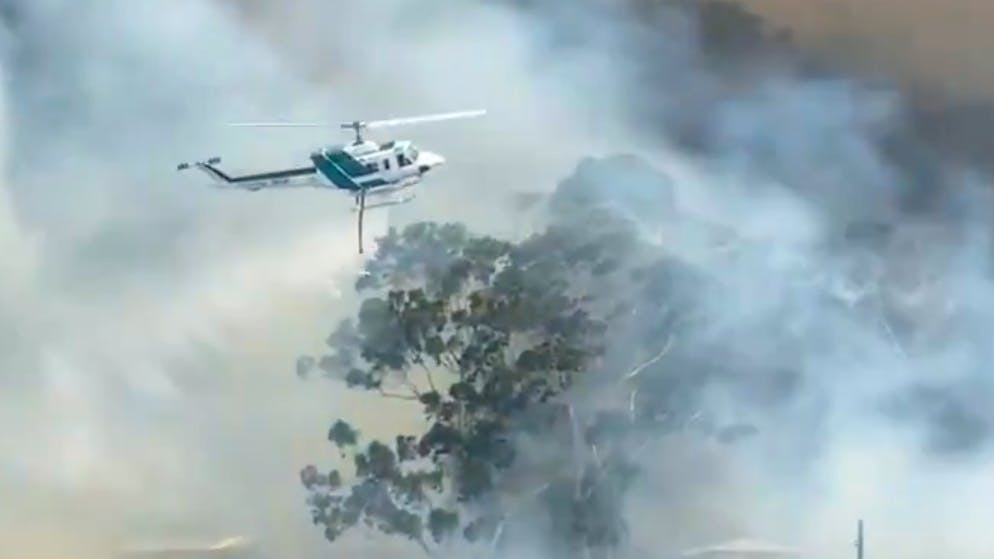 Über 50 Feuer. Extreme Hitze treibt Buschbrände an Australiens Südostküste an